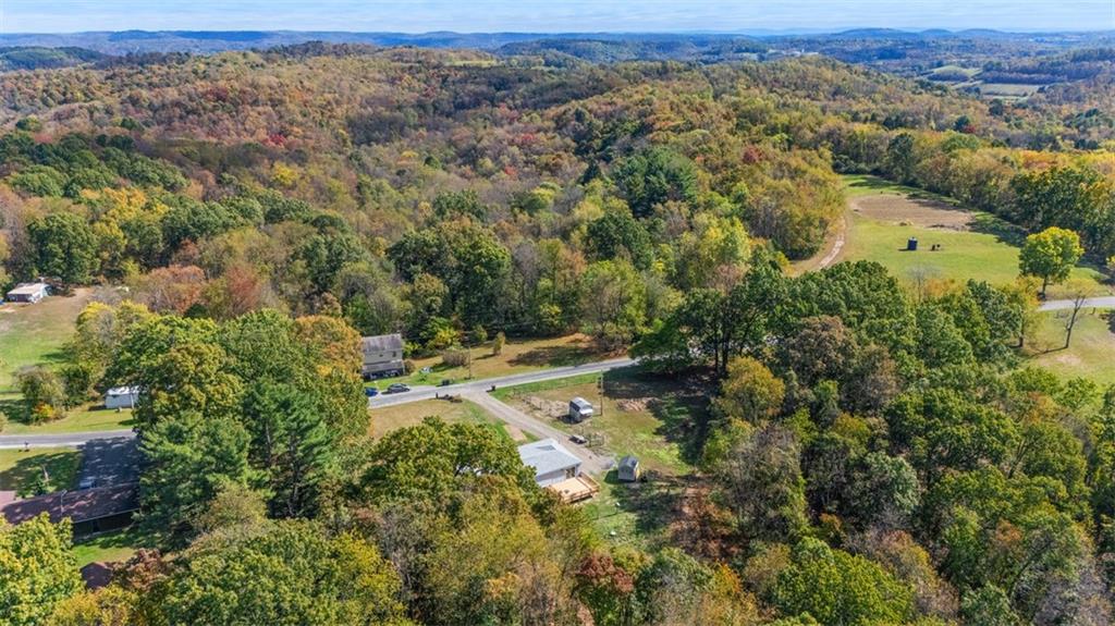 428 Weimer Road Leechburg, PA 15656 - Photo 39 of 42 an aerial view of forest