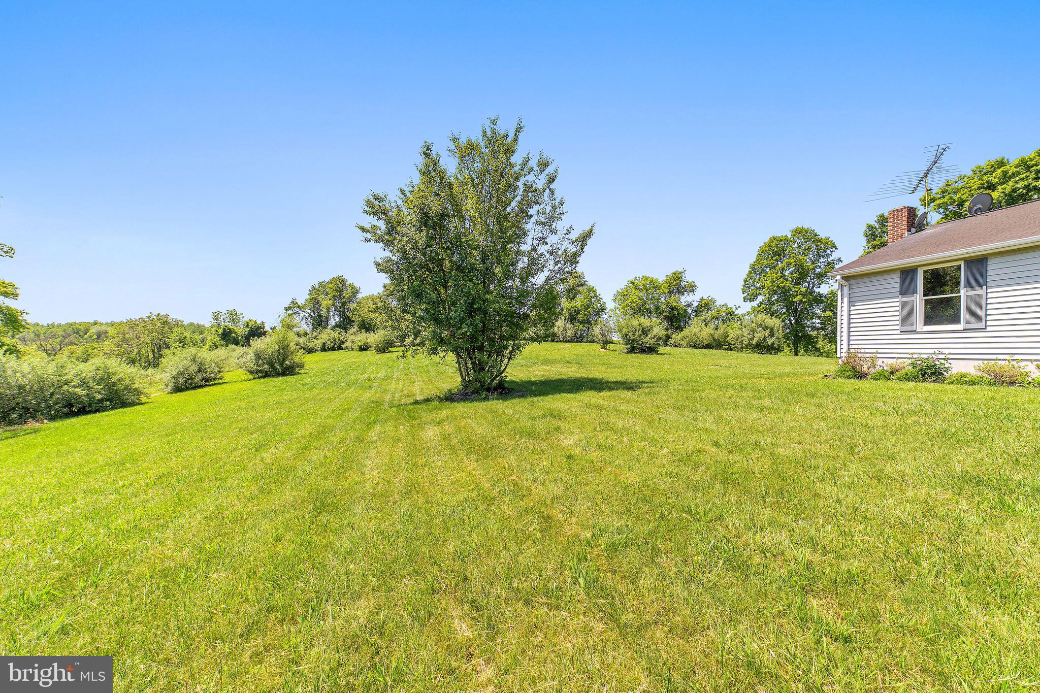 9788 Conde Road Marshall, VA 20115 - Photo 18 of 57
