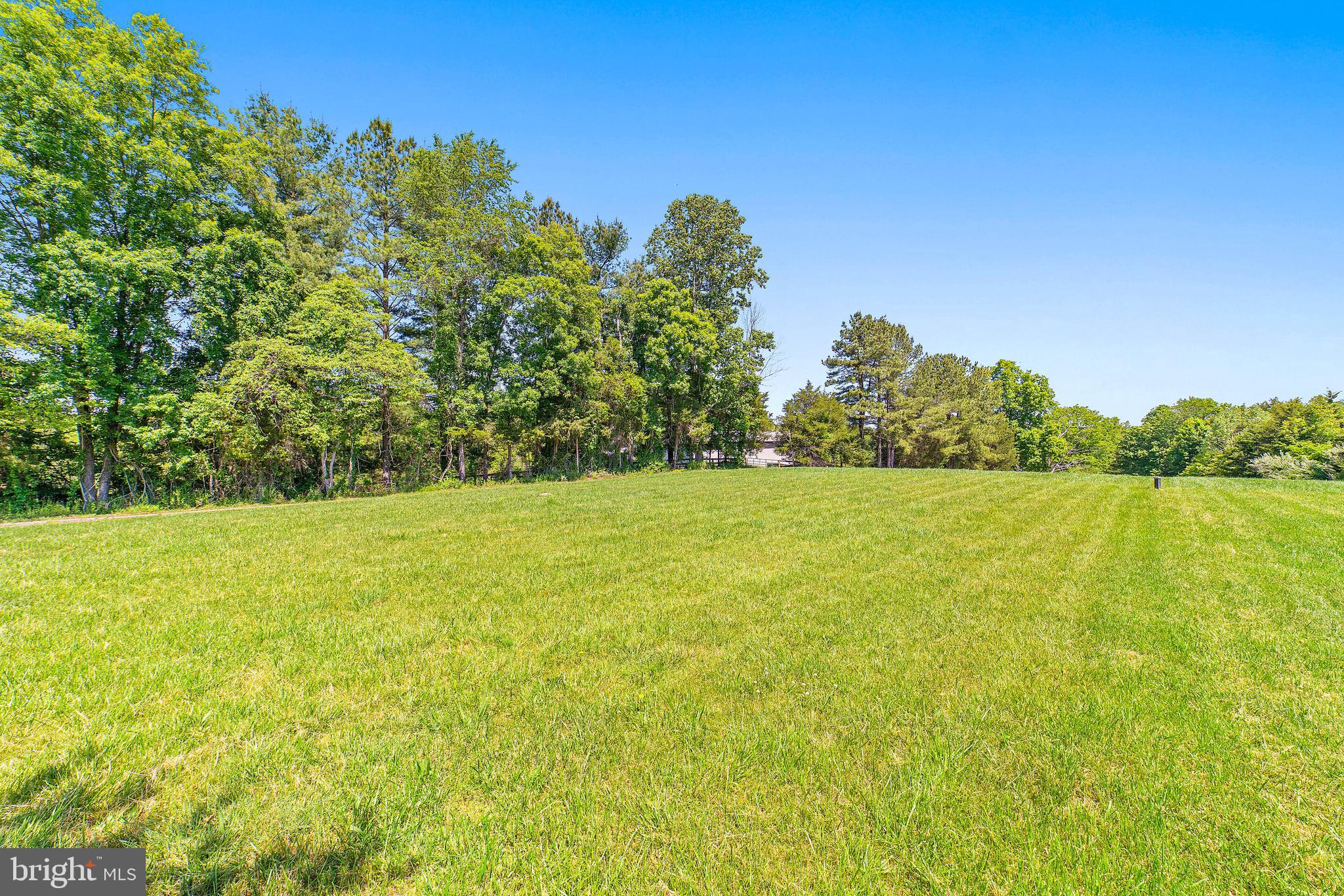 9788 Conde Road Marshall, VA 20115 - Photo 6 of 57