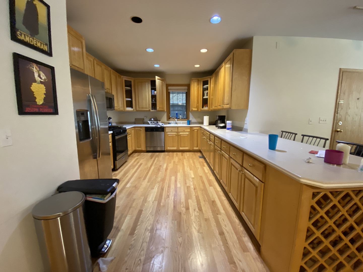 654 West Briar Place, Unit G Chicago, IL 60657 - Photo 4 of 17