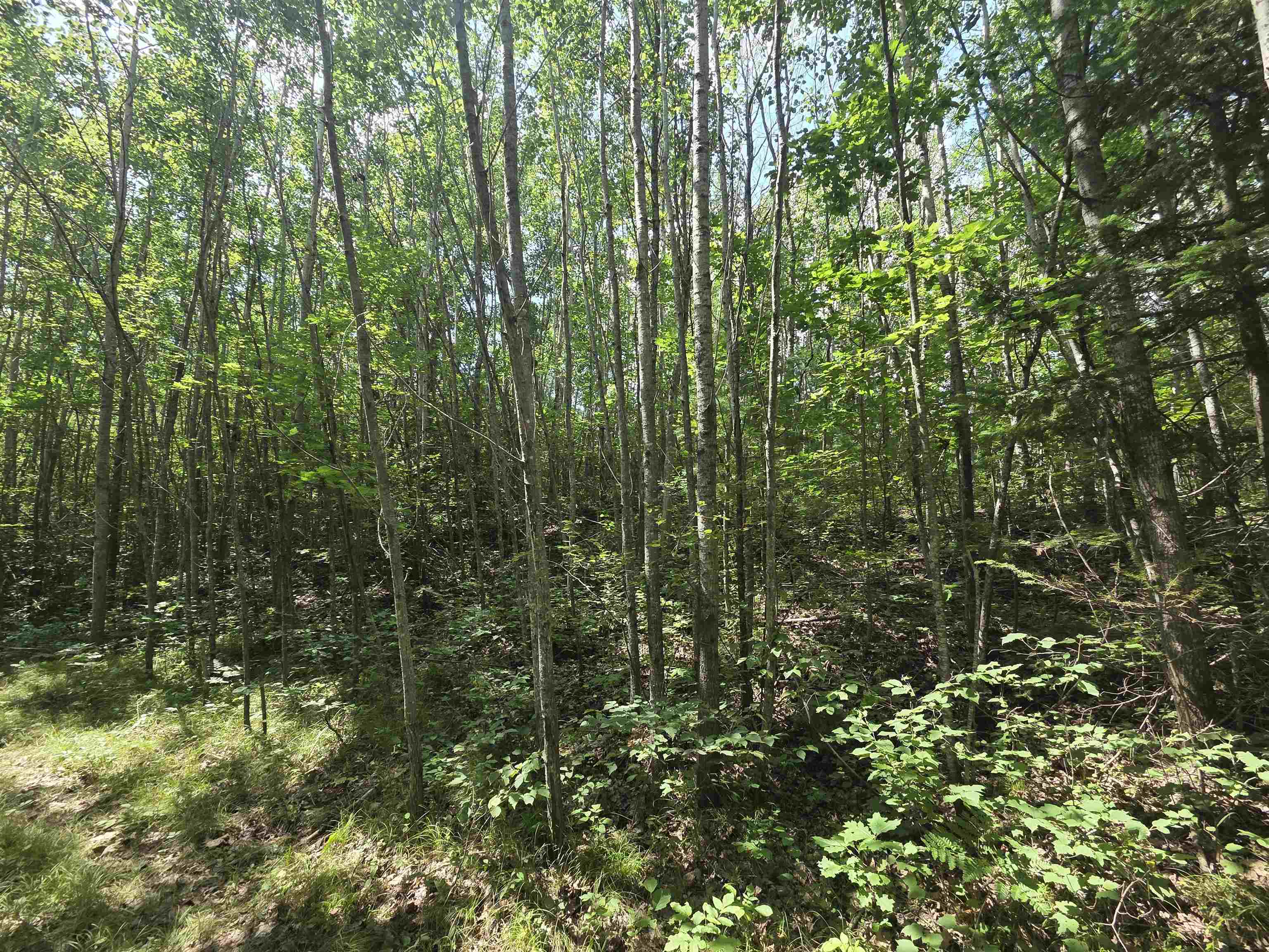 Right Of Way Road Pembine, WI 54156 - Photo 2 of 5 Gallery Image 2