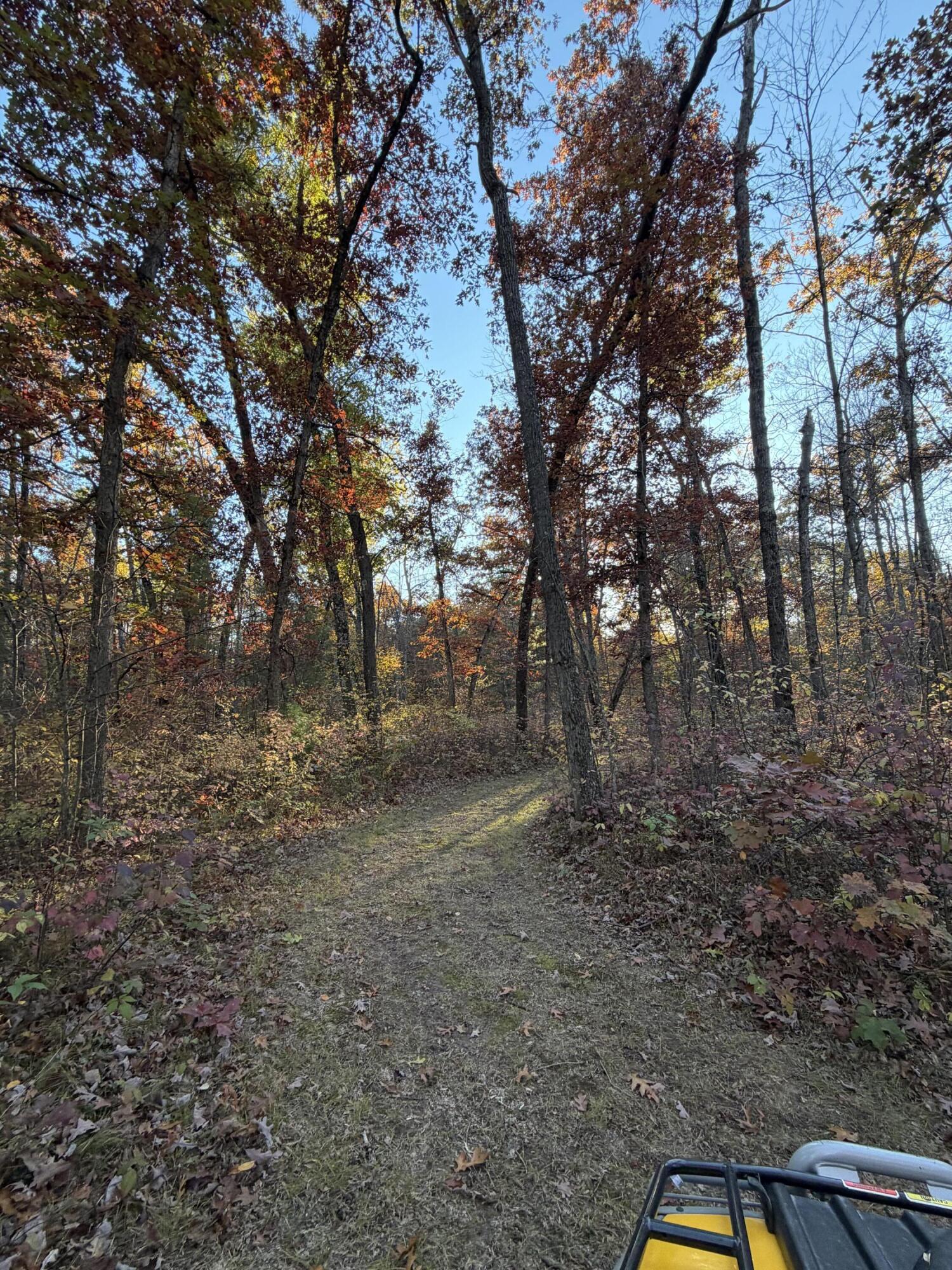 V/l Maple Hill Road, Unit PARCEL A Howard City, MI 49329 - Photo 3 of 11 IMG_0824