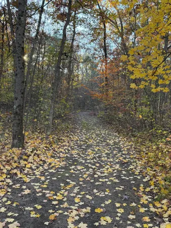 $67,000 | V/l Maple Hill Road, Unit PARCEL A, Howard City, MI 49329