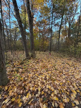 $67,000 | V/l Maple Hill Road, Unit PARCEL A, Howard City, MI 49329