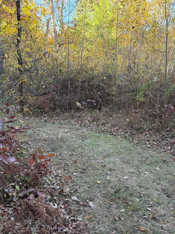 $67,000 | V/l Maple Hill Road, Unit PARCEL A, Howard City, MI 49329