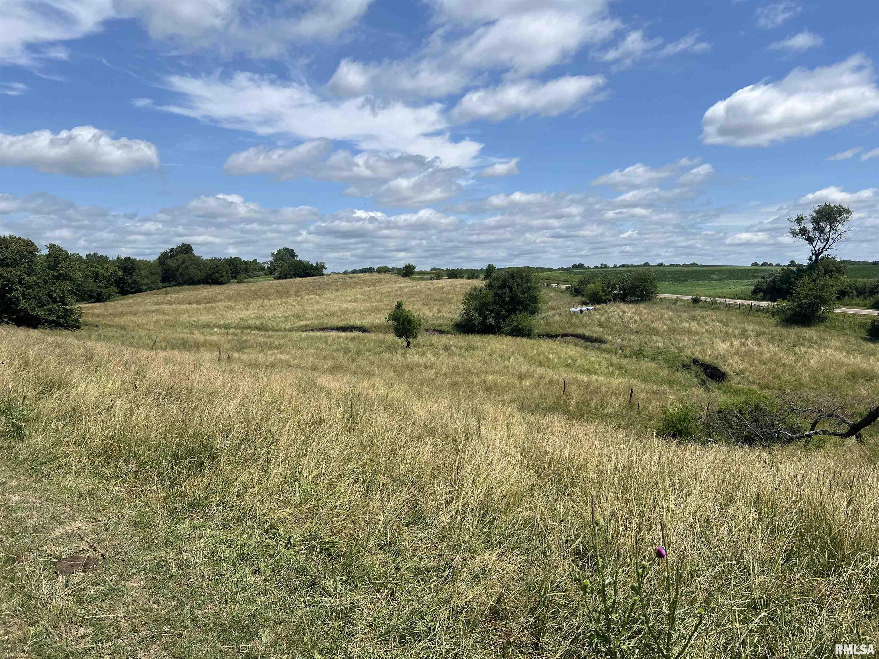 3311 South Stone School Road Trivoli, IL 61569 - Photo 11 of 12