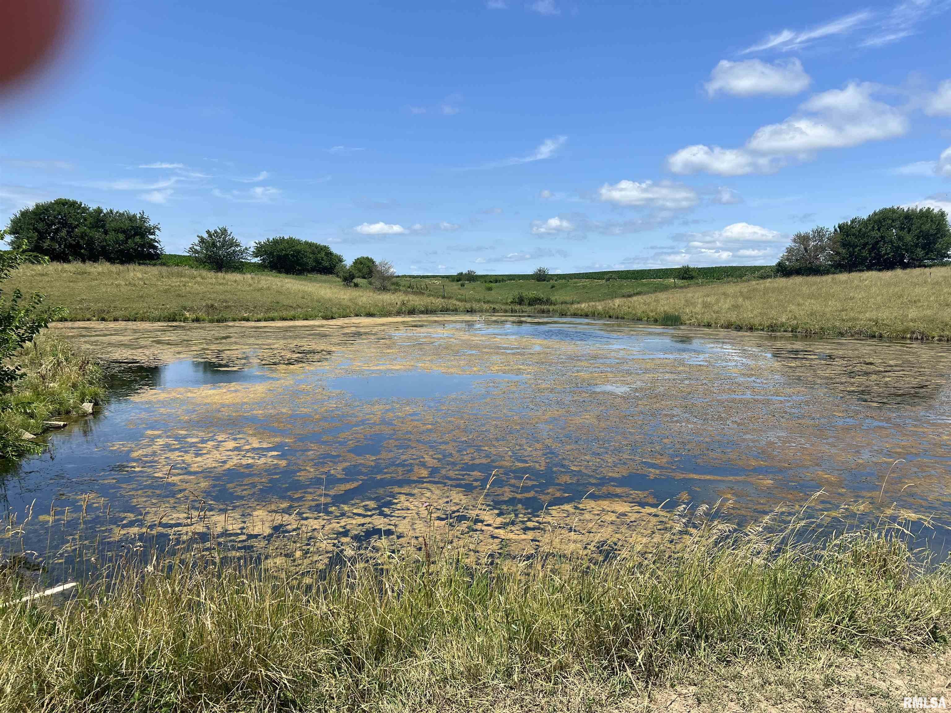 3311 South Stone School Road Trivoli, IL 61569 - Photo 8 of 12