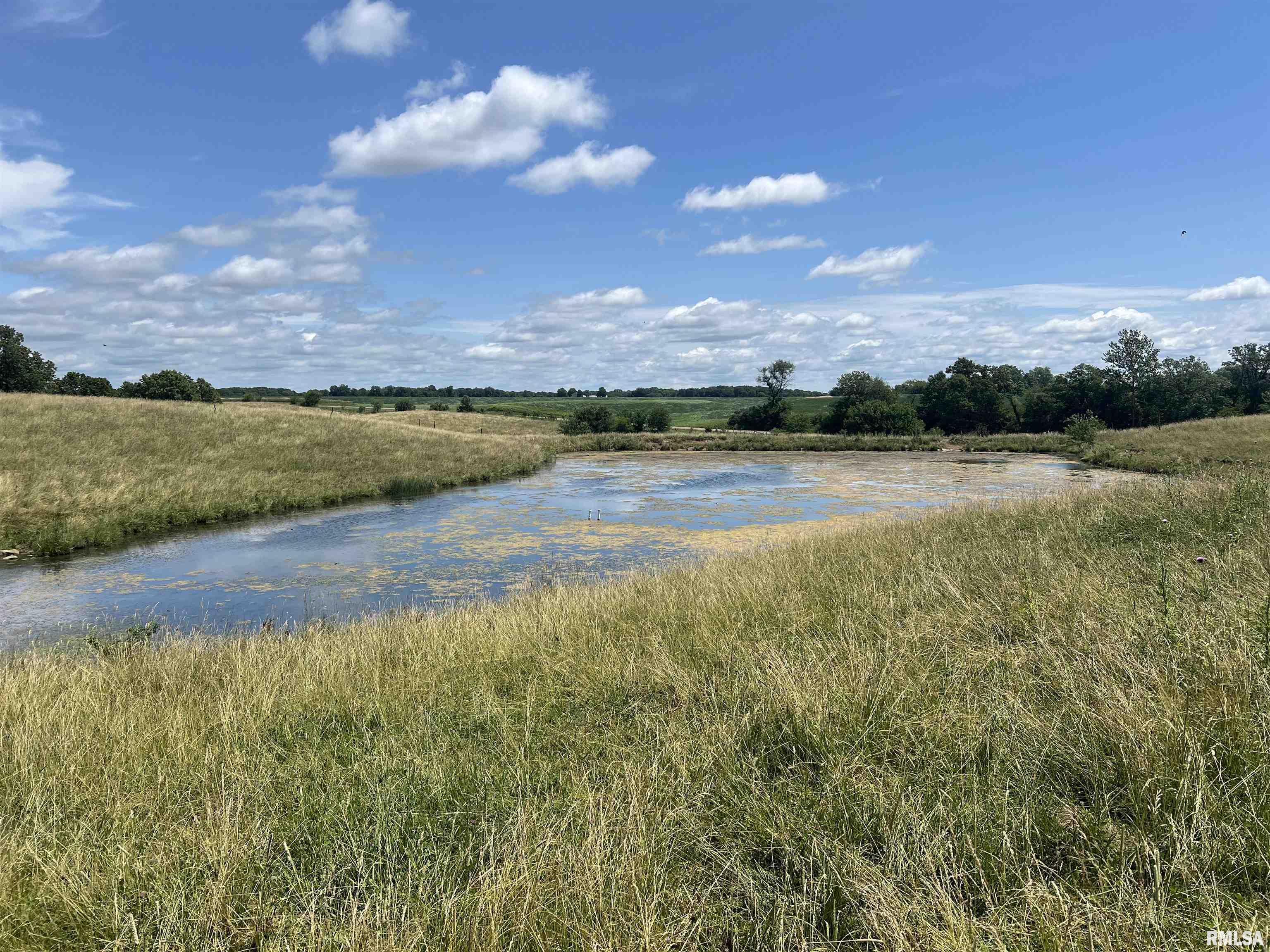 3311 South Stone School Road Trivoli, IL 61569 - Photo 9 of 12