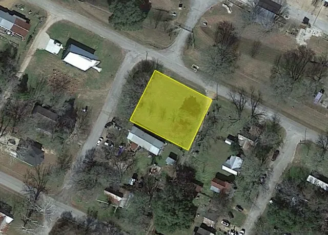 a view of a park with large trees