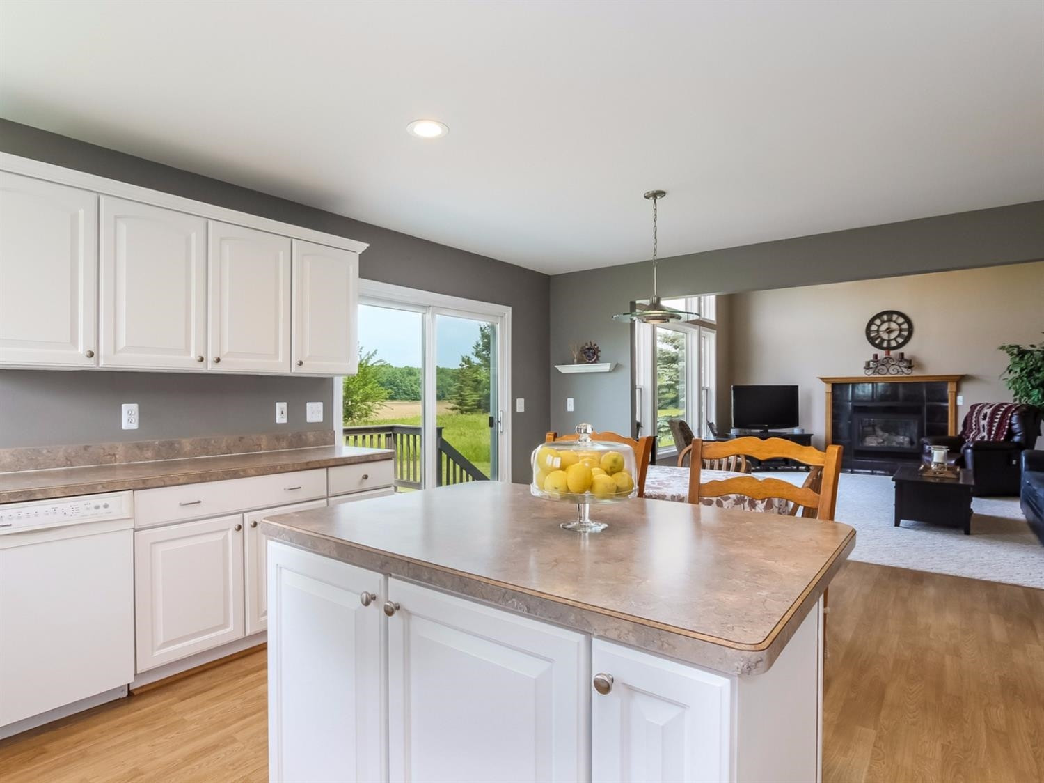 11900 Island Lake Road Dexter, MI 48130 - Photo 5 of 10 Photo 5