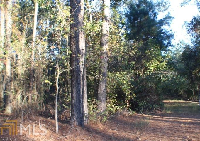 0 Garner Dominy Road Dublin, GA 31021 - Photo 1 of 1 Gallery Image 1
