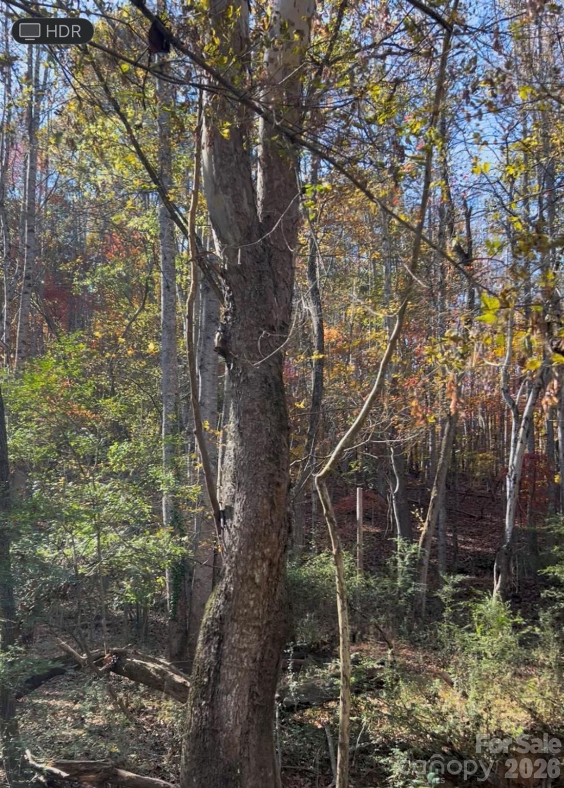 0 Snuggs Park Road Albemarle, NC 28001 - Photo 2 of 4
