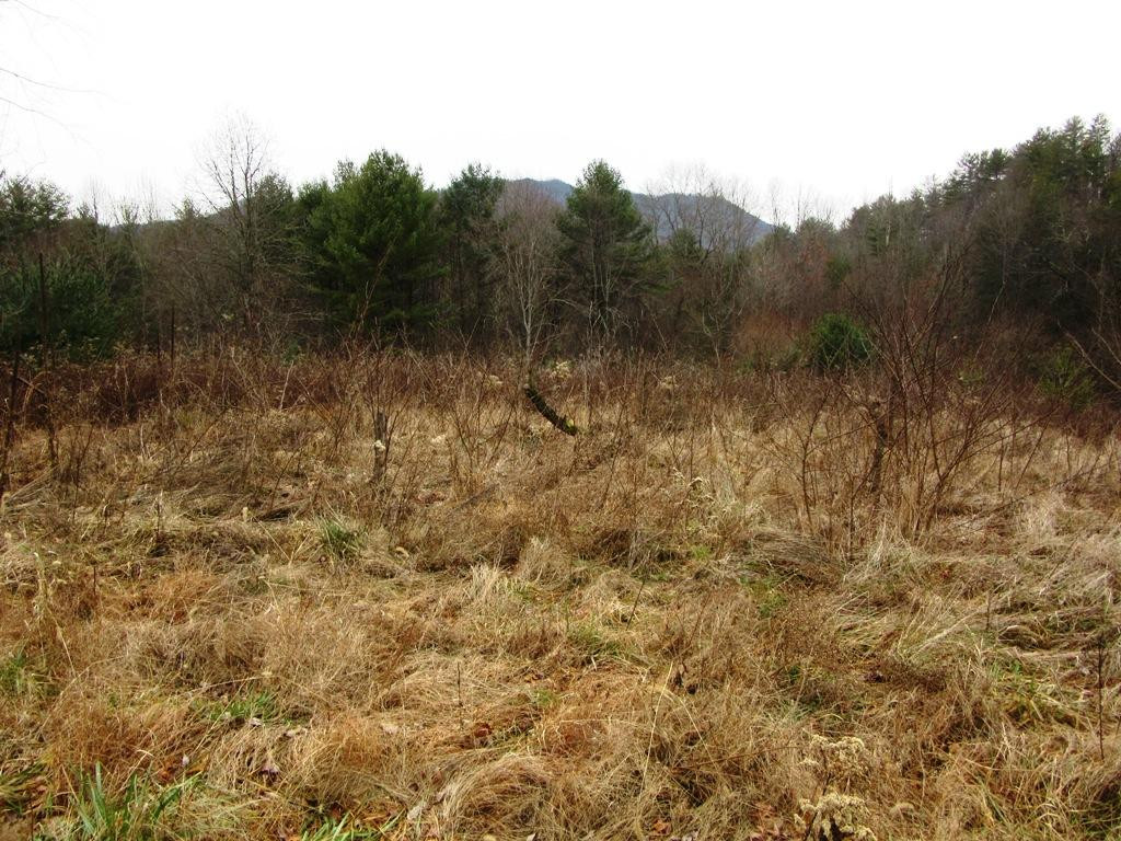 Tbd Campbell Cemetery Road Butler, TN 37640 - Photo 1 of 11 Photo 1
