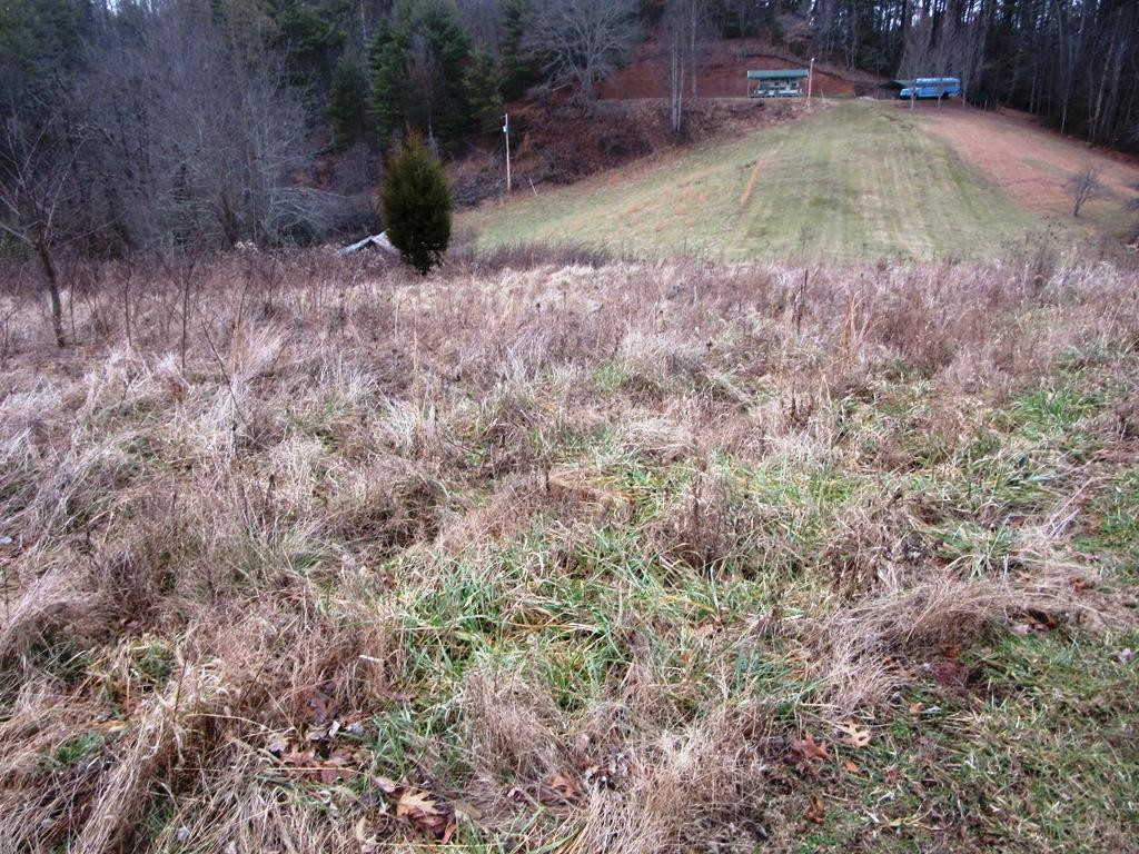 Tbd Campbell Cemetery Road Butler, TN 37640 - Photo 2 of 11 Photo 2
