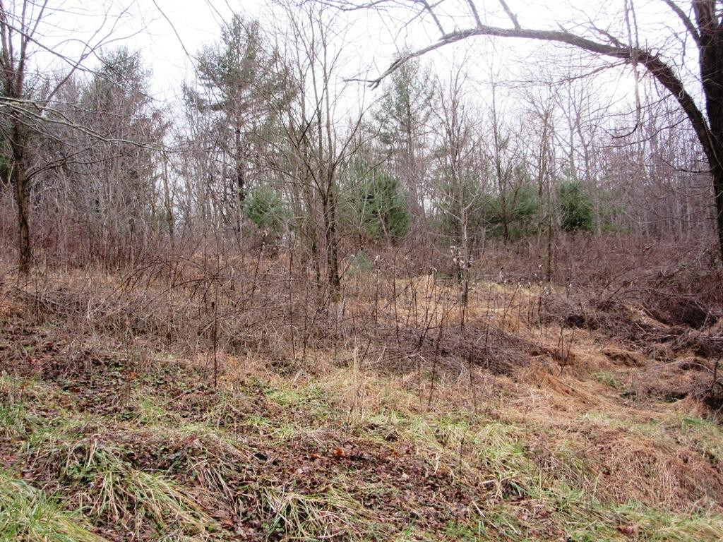 Tbd Campbell Cemetery Road Butler, TN 37640 - Photo 3 of 11 Photo 3