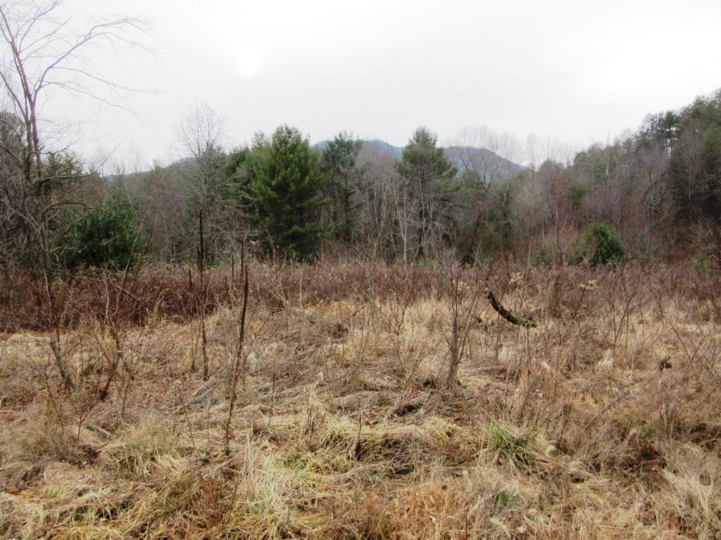 Tbd Campbell Cemetery Road Butler, TN 37640 - Photo 4 of 11 Photo 4