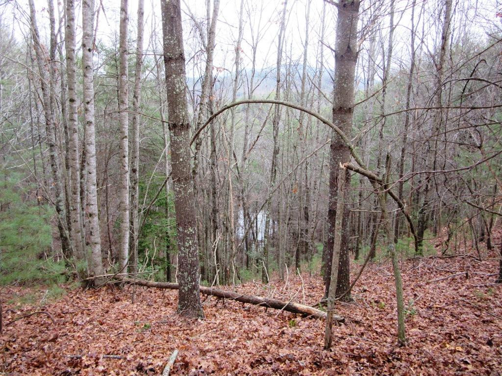 Tbd Campbell Cemetery Road Butler, TN 37640 - Photo 5 of 11 Photo 5