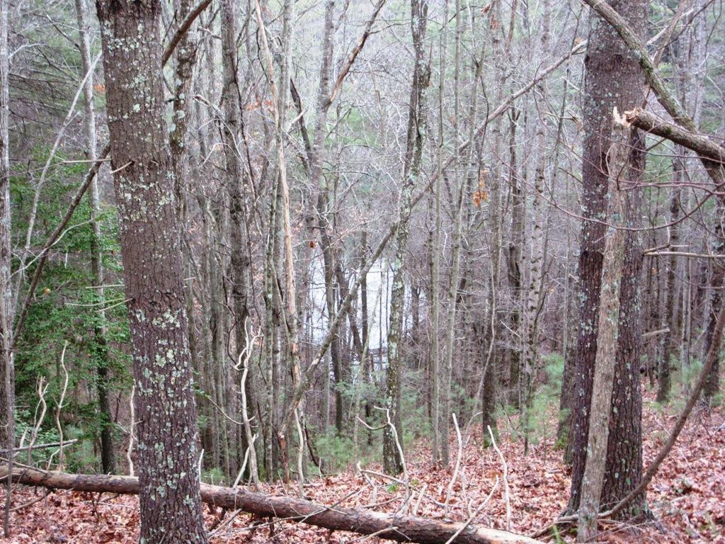Tbd Campbell Cemetery Road Butler, TN 37640 - Photo 6 of 11 Photo 6