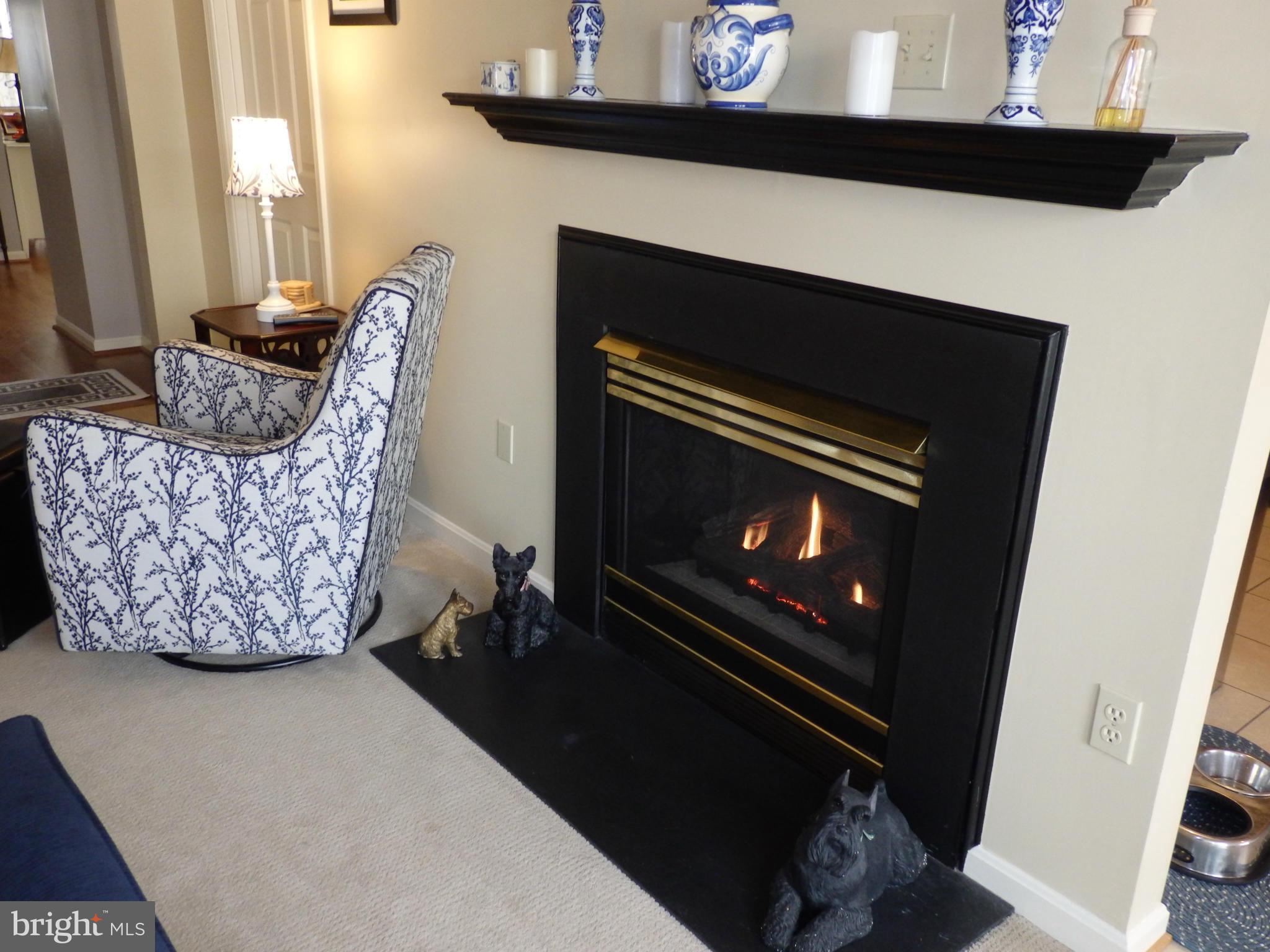 2236 Bear Den Road Frederick, MD 21701 - Photo 12 of 30 a living room with furniture and a fireplace
