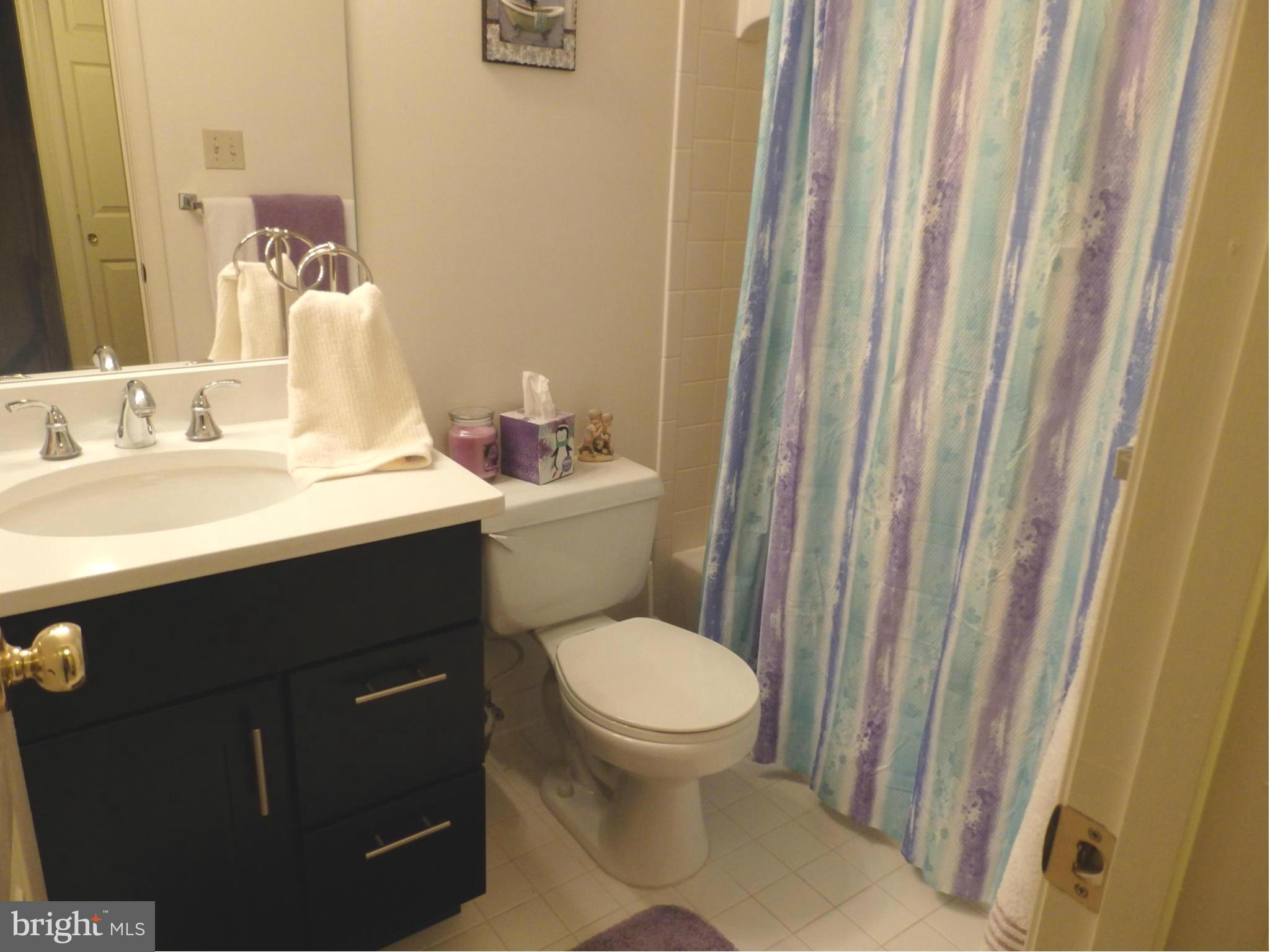 2236 Bear Den Road Frederick, MD 21701 - Photo 19 of 30 a bathroom with a sink a toilet and a mirror