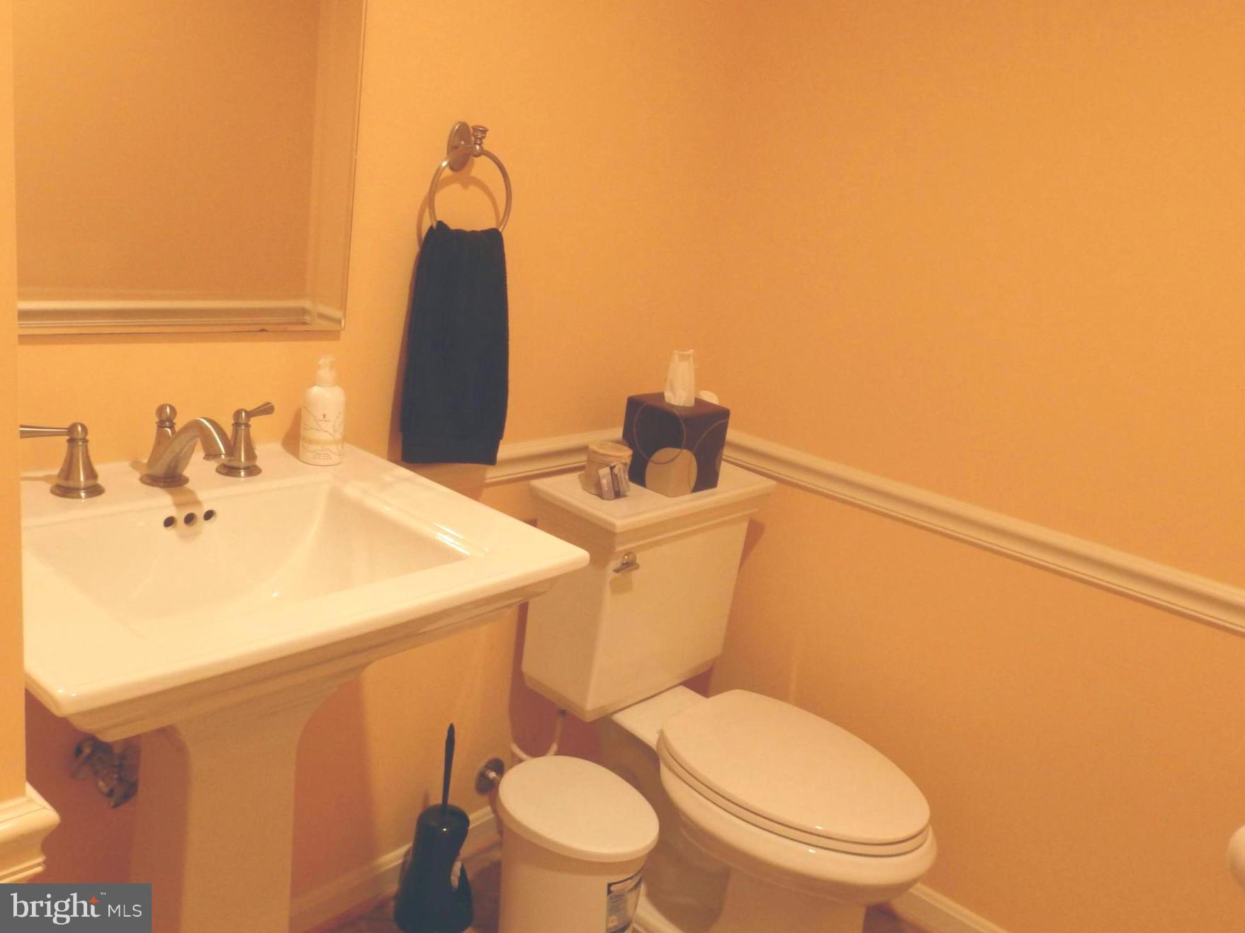 2236 Bear Den Road Frederick, MD 21701 - Photo 24 of 30 a bathroom with a sink and toilet