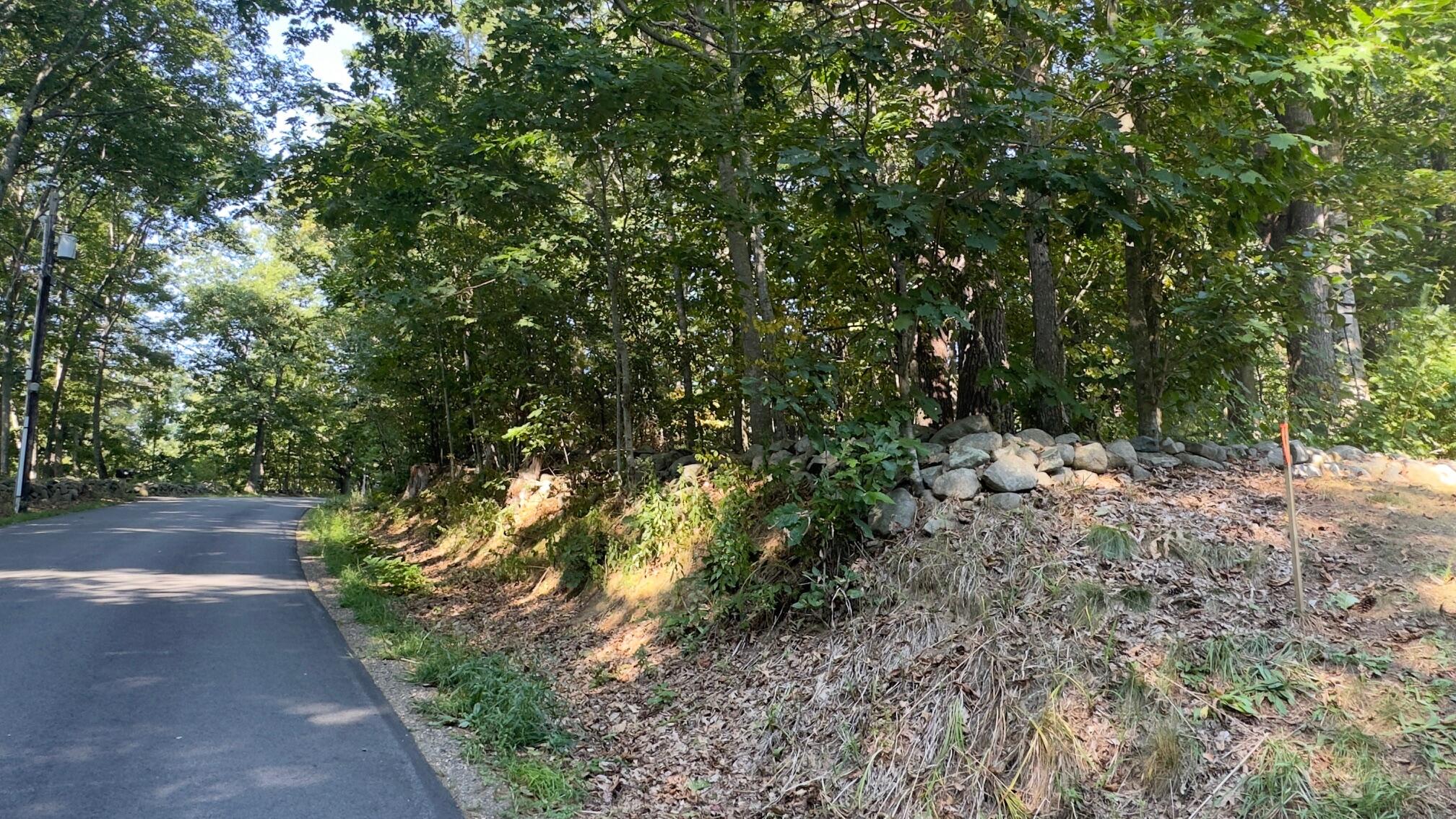 Tbd Frost Hill Road York, ME 03909 - Photo 4 of 17 Lower Lot corner