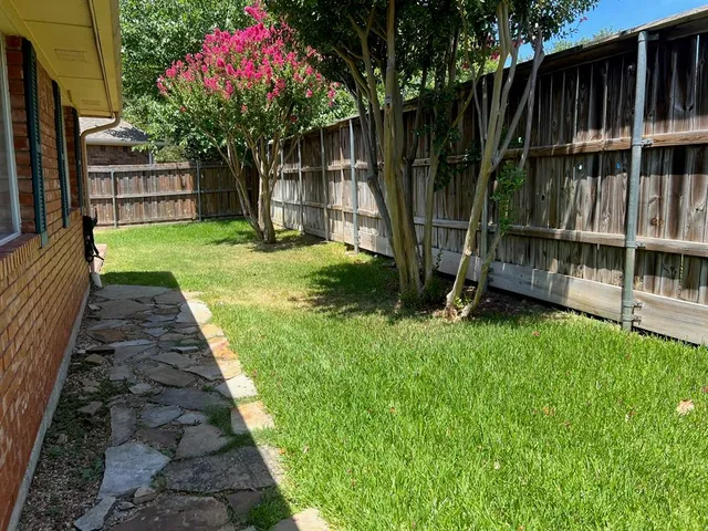 a view of a backyard with large trees and wooden fence