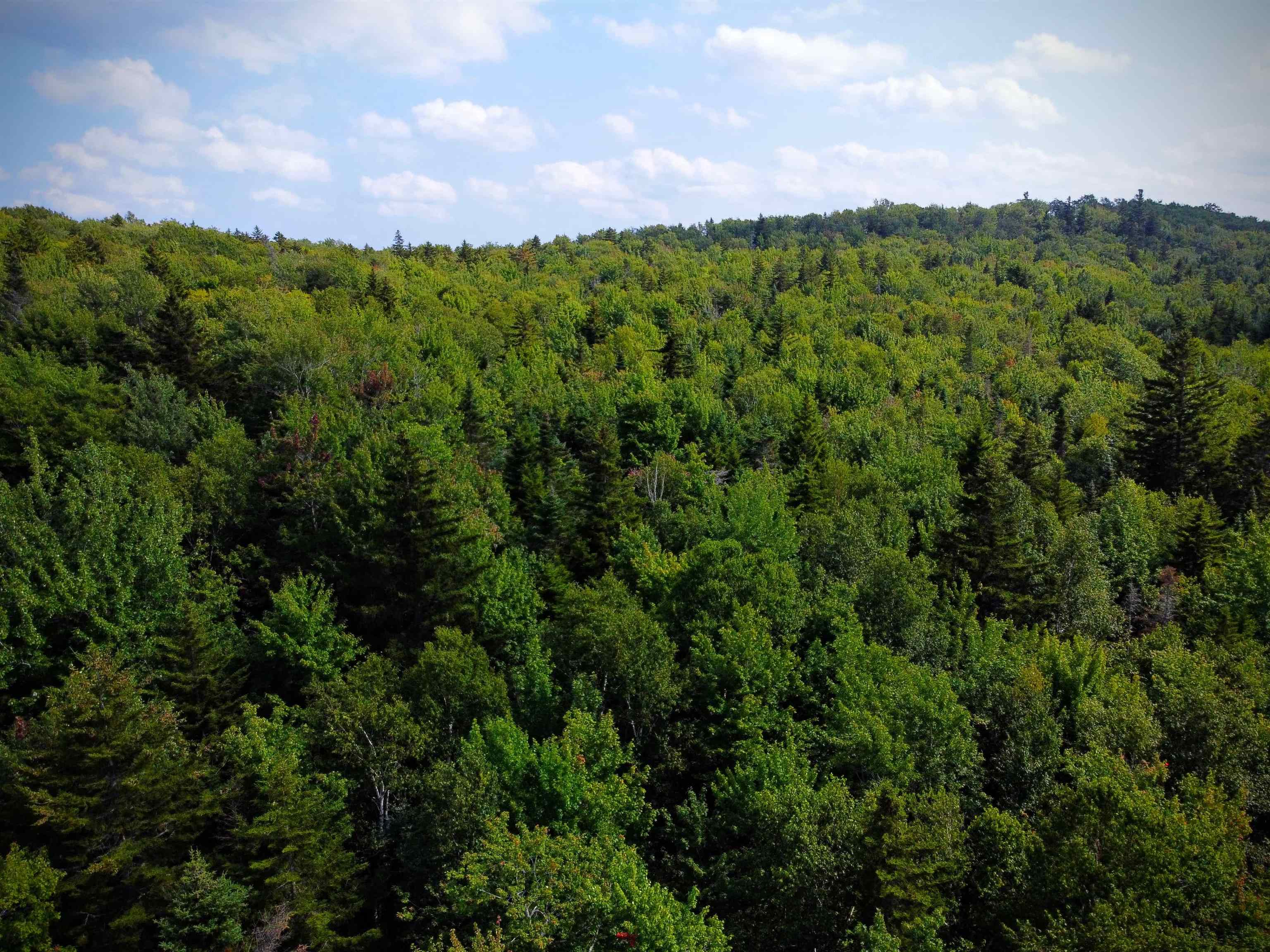 0 Washington Heights Road Washington, NH 03280 - Photo 1 of 13
