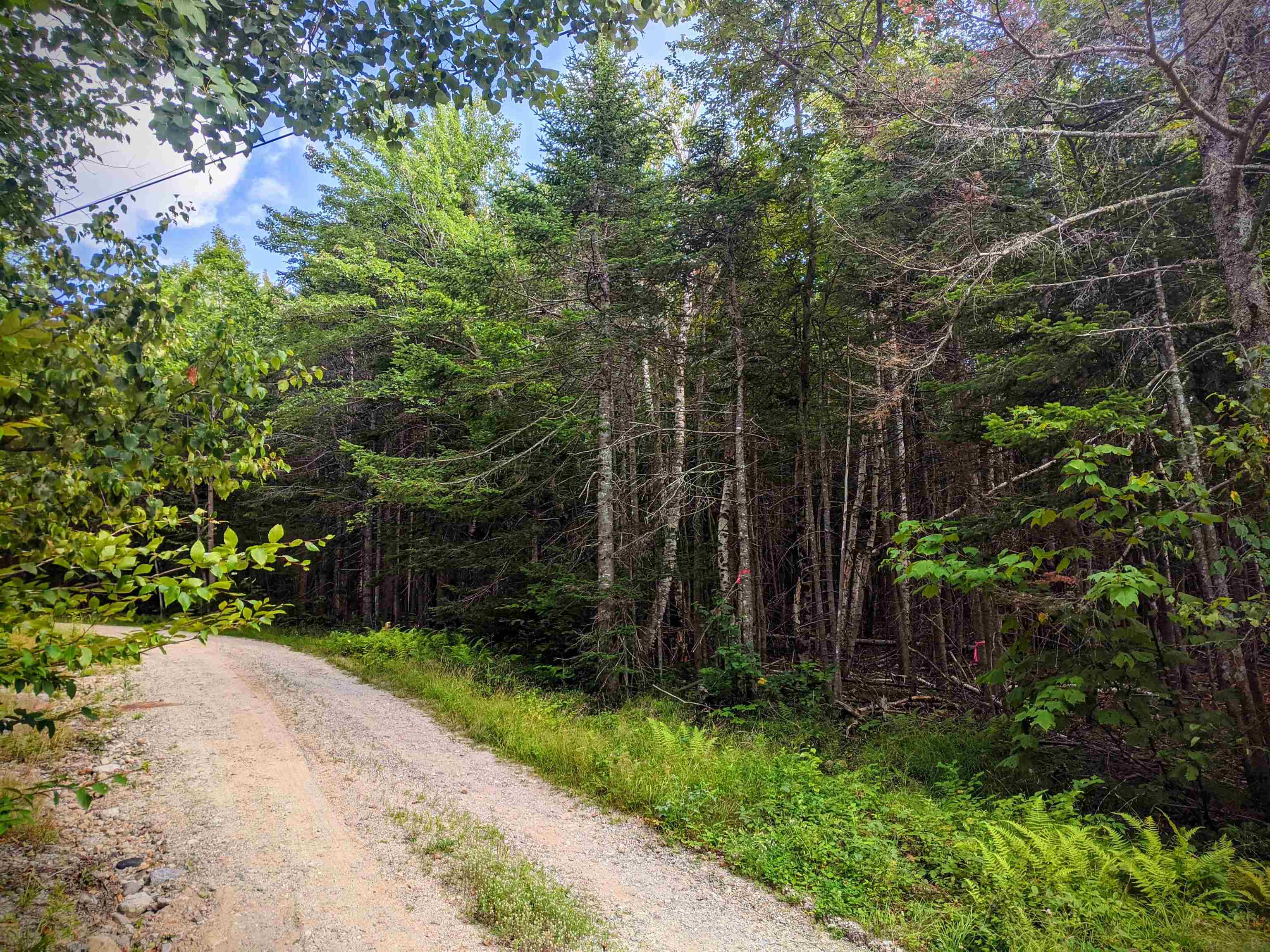 0 Washington Heights Road Washington, NH 03280 - Photo 10 of 13