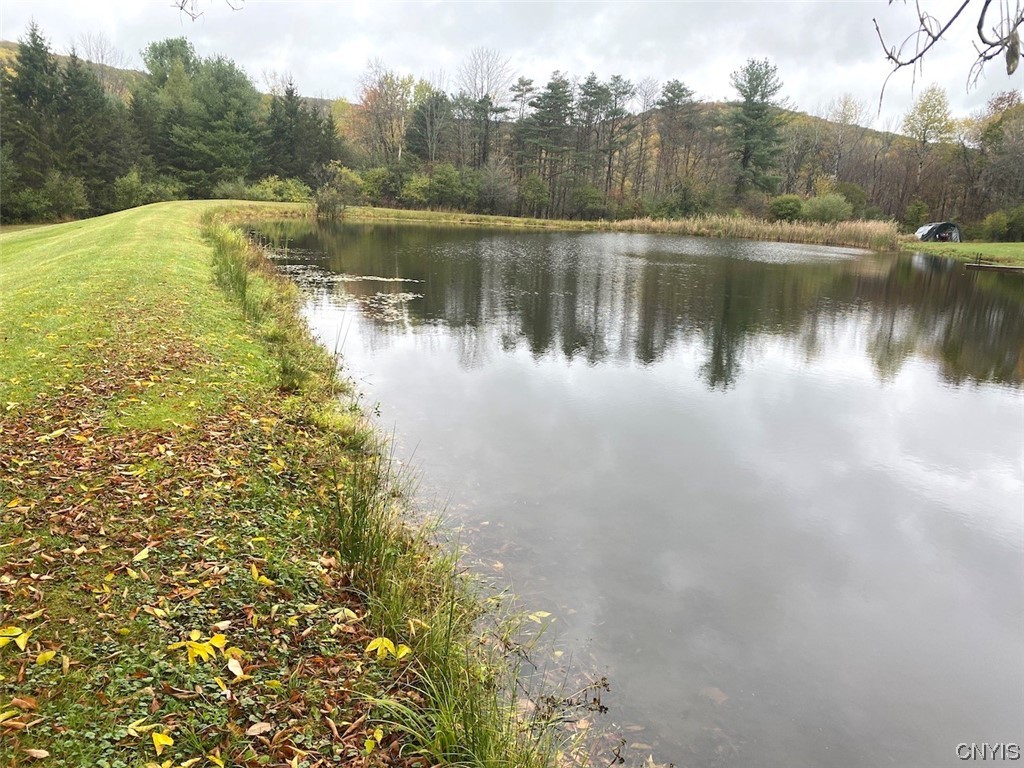 4229 Plum Bottom Road Amity, NY 14813 - Photo 16 of 24