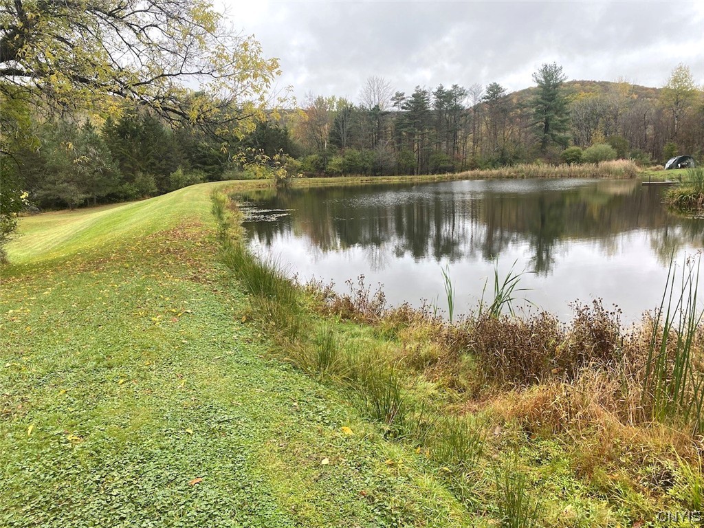 4229 Plum Bottom Road Amity, NY 14813 - Photo 17 of 24