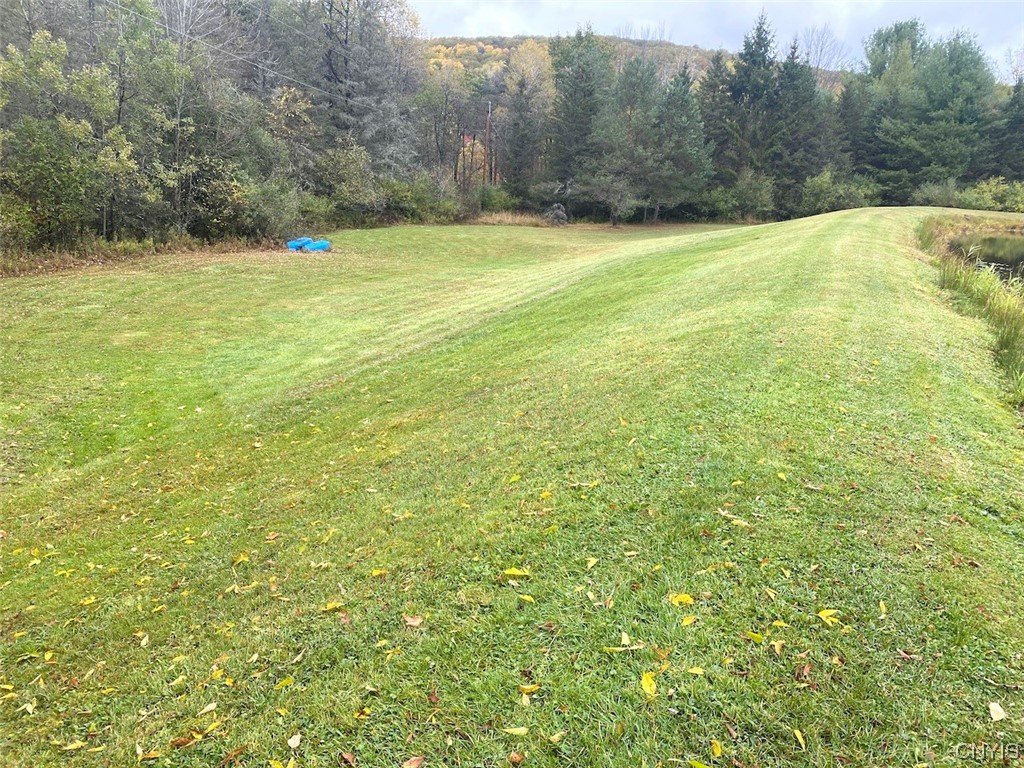 4229 Plum Bottom Road Amity, NY 14813 - Photo 18 of 24