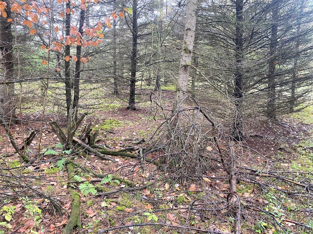 4229 Plum Bottom Road Amity, NY 14813 - Photo 19 of 24