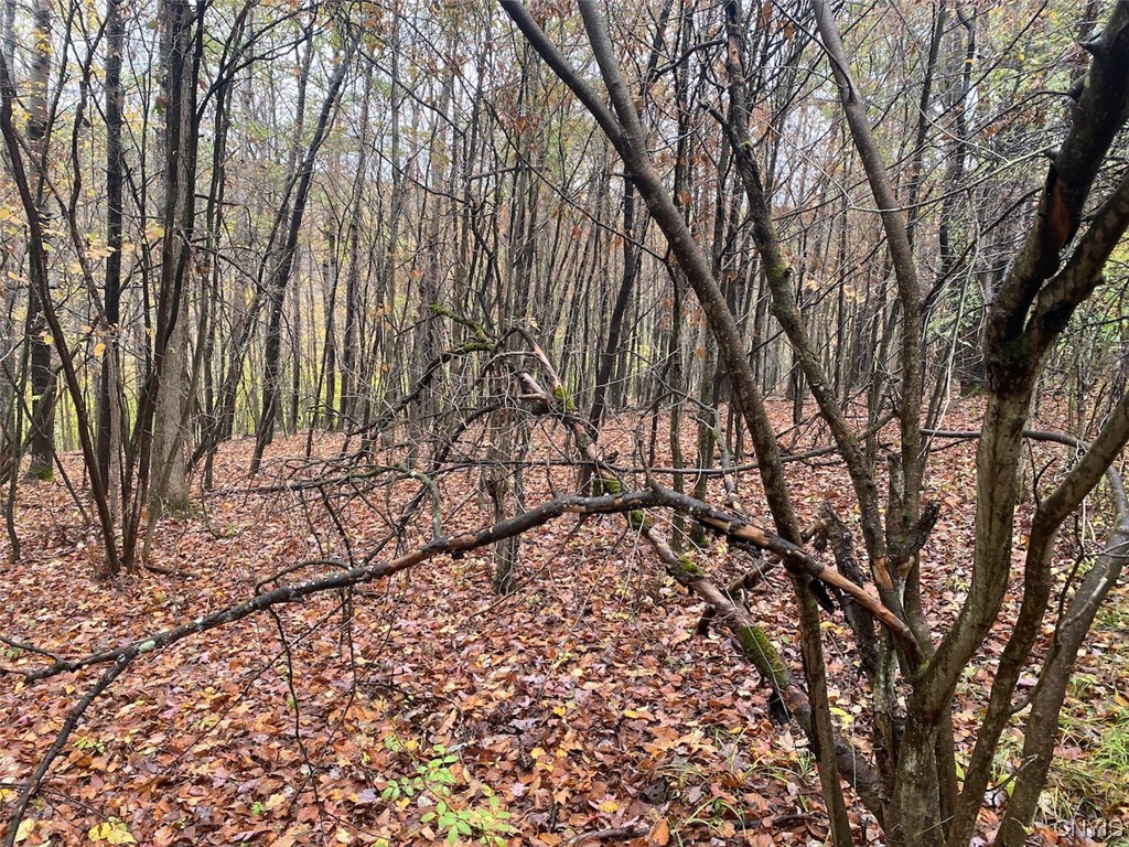 4229 Plum Bottom Road Amity, NY 14813 - Photo 20 of 24