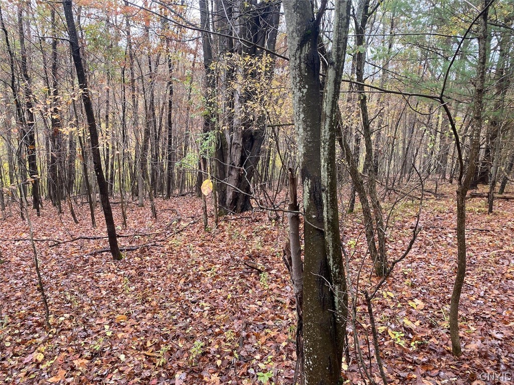 4229 Plum Bottom Road Amity, NY 14813 - Photo 21 of 24