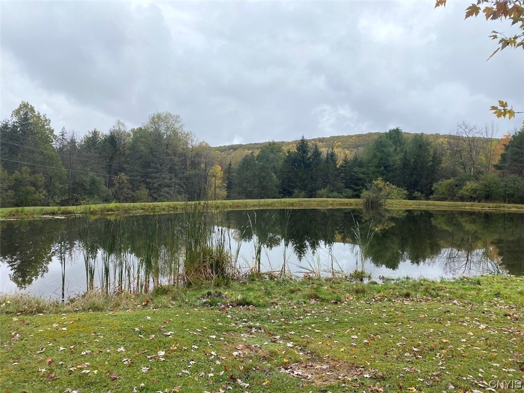 4229 Plum Bottom Road Amity, NY 14813 - Photo 4 of 24