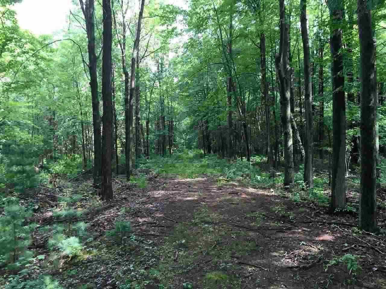 Baumgartner Road Leroy, MI 49655 - Photo 3 of 3 Gallery Image 3