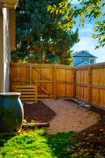 a view of a backyard with plants and large trees