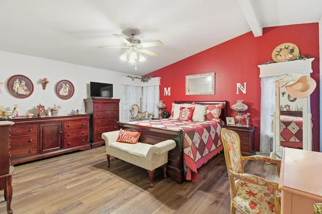 a view of a park with large trees