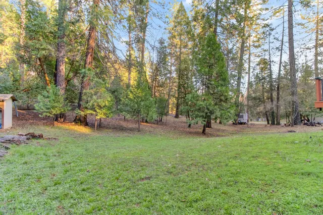 a view of a house with backyard and a tree