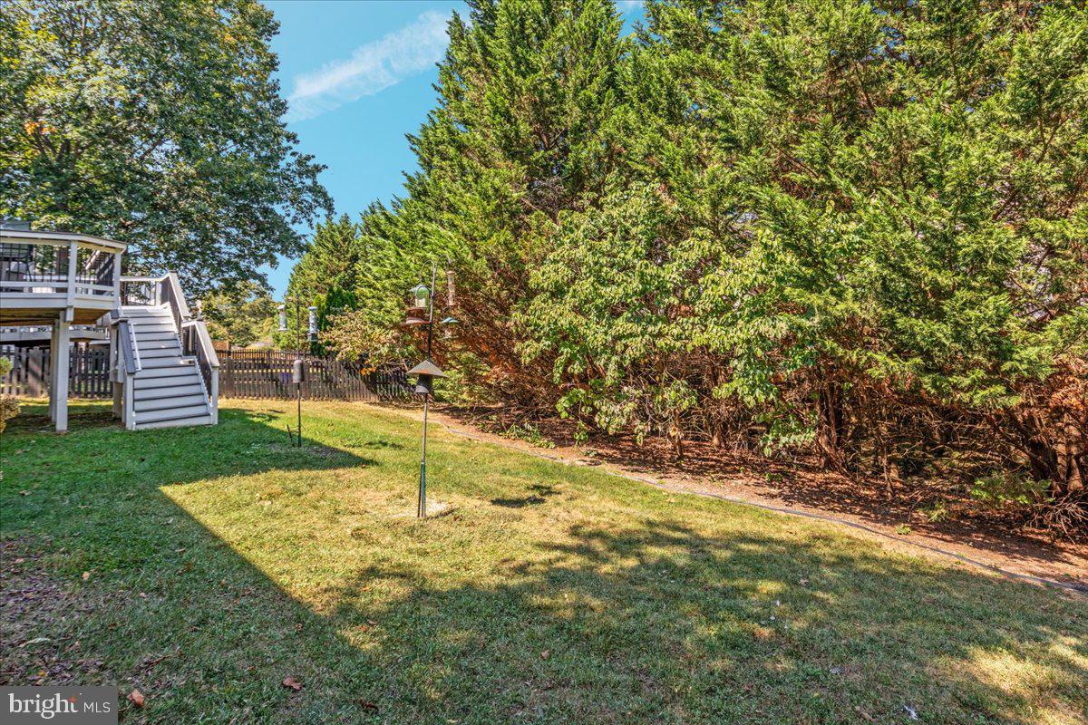 129 Old Wagon Road Winchester, VA 22602 - Photo 31 of 59 a view of a yard with a tree