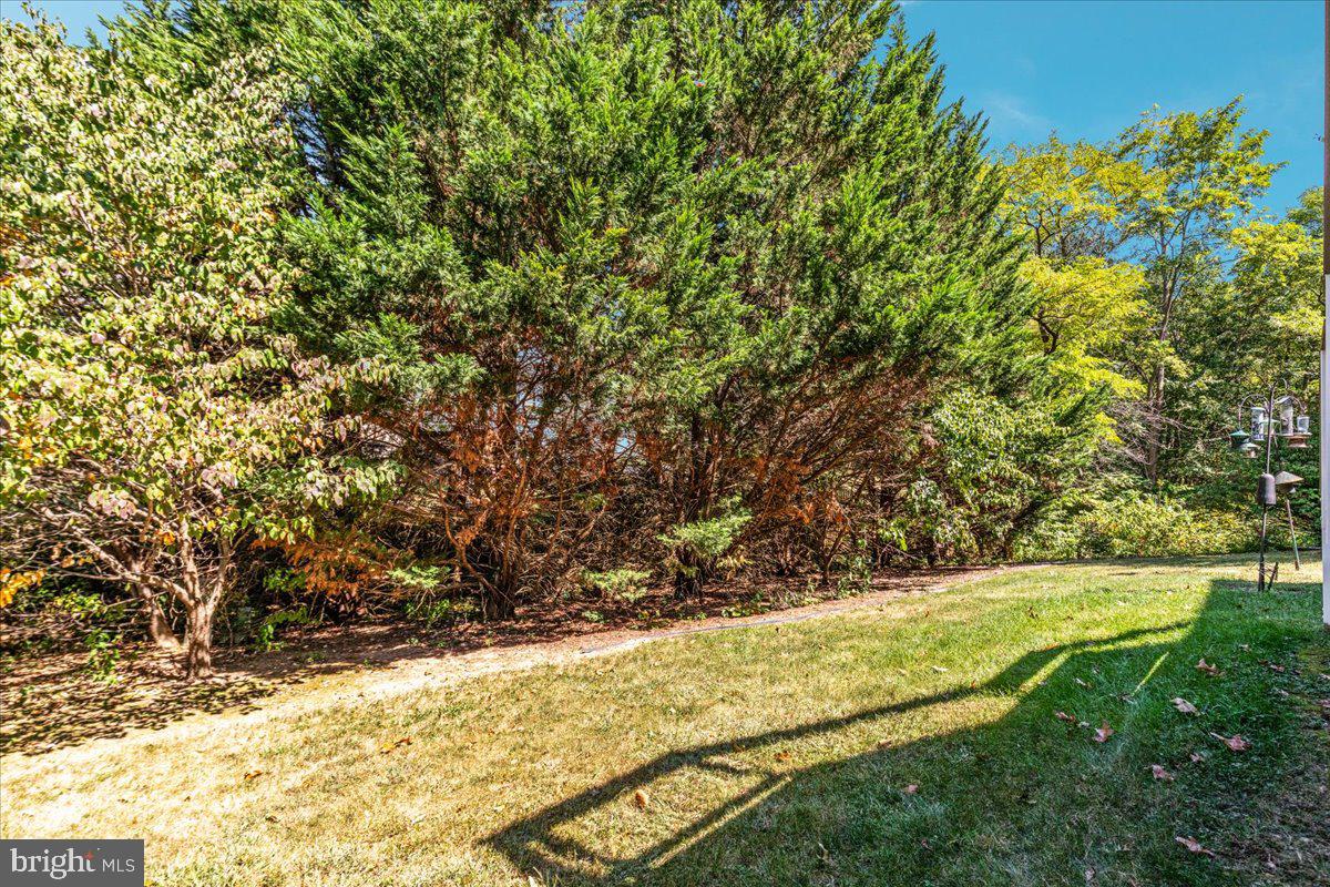 129 Old Wagon Road Winchester, VA 22602 - Photo 32 of 59 a view of yard with large trees