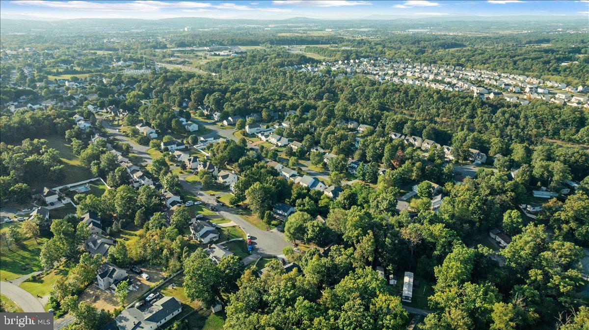 129 Old Wagon Road Winchester, VA 22602 - Photo 42 of 59