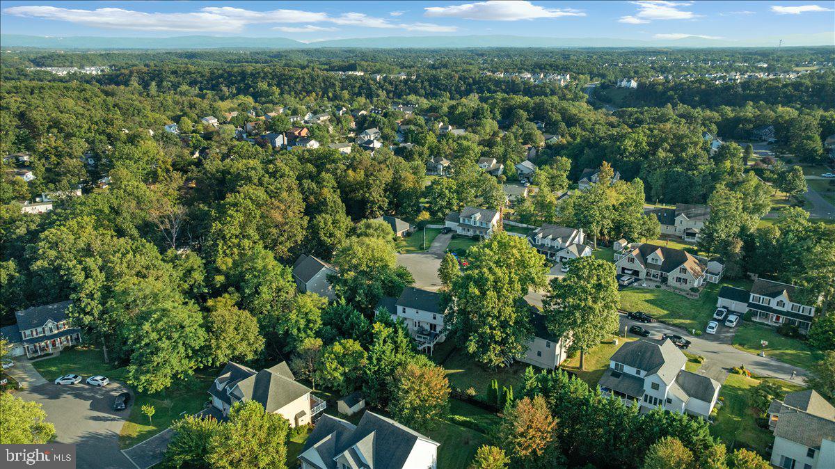 129 Old Wagon Road Winchester, VA 22602 - Photo 46 of 59 a view of a green field with lots of bushes