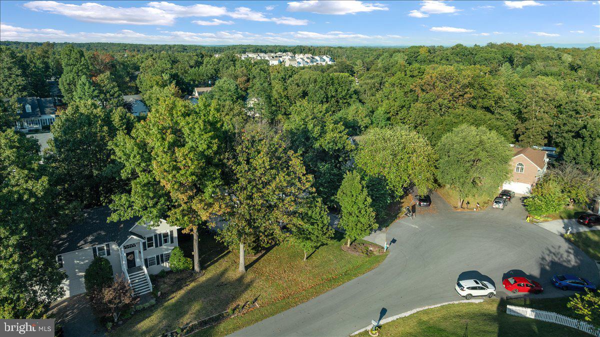 129 Old Wagon Road Winchester, VA 22602 - Photo 49 of 59 a view of a bunch of trees and bushes