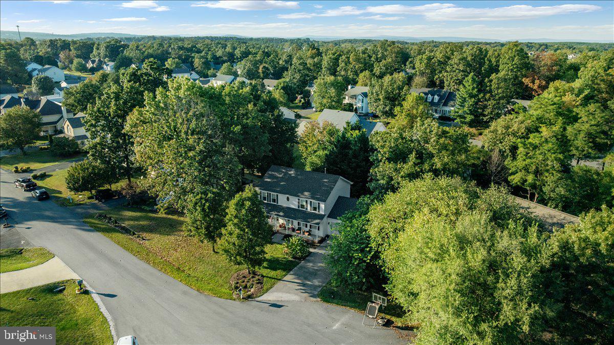 129 Old Wagon Road Winchester, VA 22602 - Photo 50 of 59 a view of a yard with plants