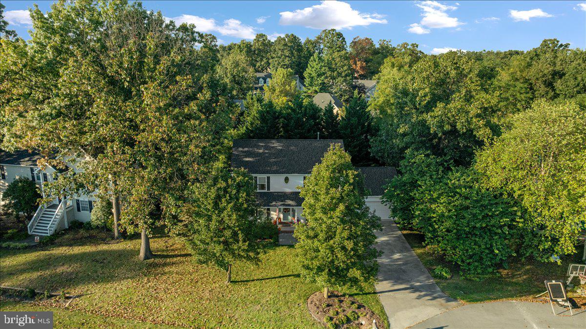 129 Old Wagon Road Winchester, VA 22602 - Photo 53 of 59 a view of a garden with plants and a bench