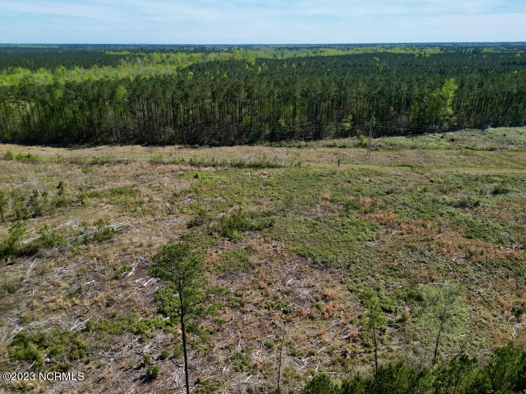 0 Tuscarora Rhems Road New Bern, NC 28562 - Photo 12 of 25 11
