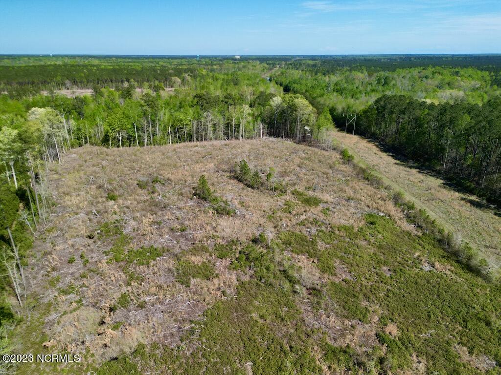 0 Tuscarora Rhems Road New Bern, NC 28562 - Photo 13 of 25 12