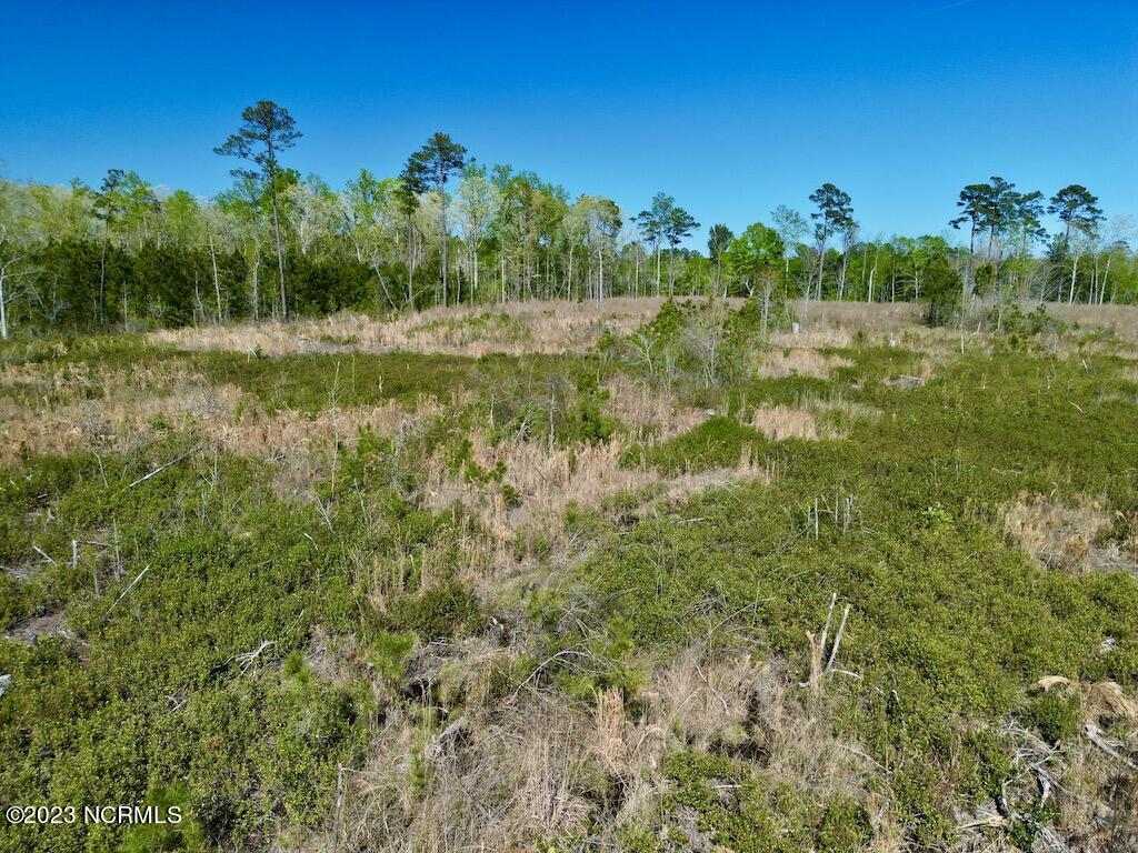 0 Tuscarora Rhems Road New Bern, NC 28562 - Photo 20 of 25 19